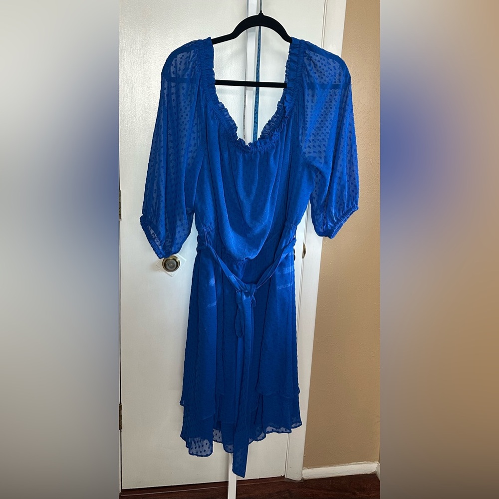 Lane Bryant Royal Blue Textured Sheer Dress w/ Belt – Size 22/24, NWOT
